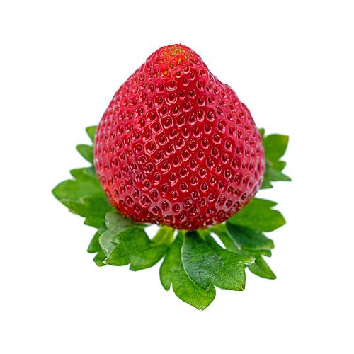 Aardbei