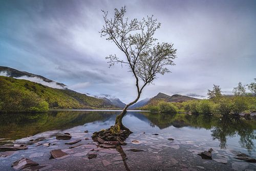 Het kleinse eiland op de planeet