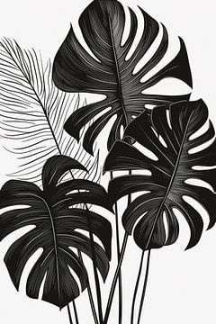 Monstera bladeren, zwart-wit illustratie