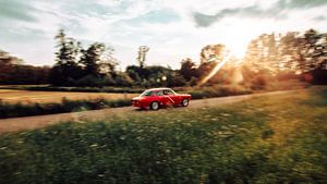 Alfa Romeo GT 1300 JUNIOR von Gianluca Lucchetti