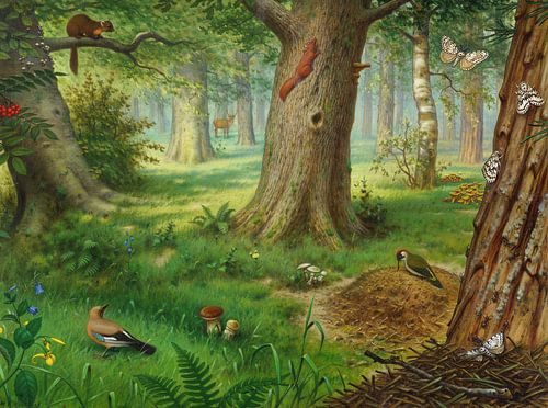 In the forest, M.A. Koekkoek