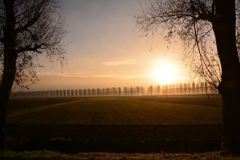 Sunrise by Michael van Eijk