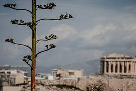 Athens