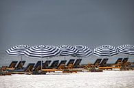 Summer morning on the beach by Kirsten Warner thumbnail