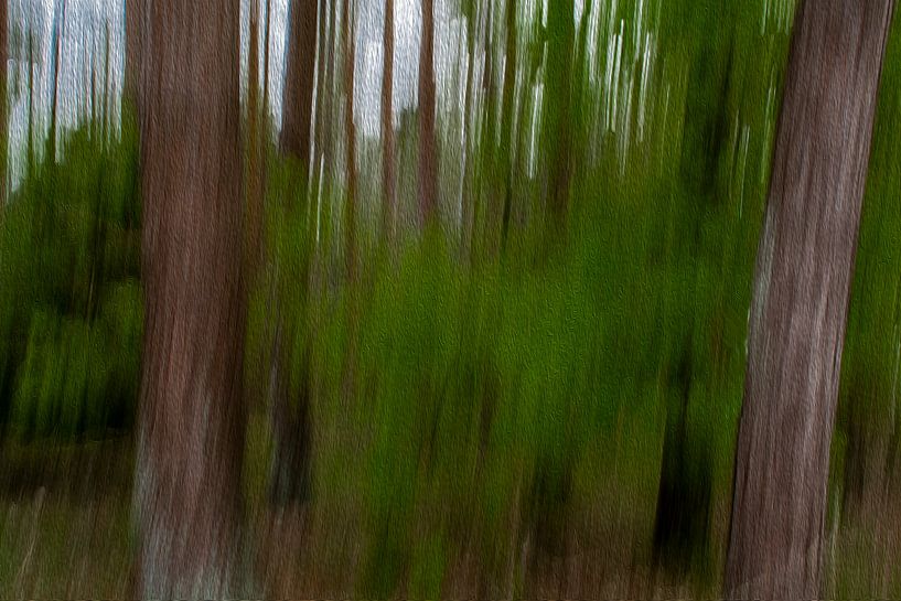 Lijnen in het bos door digitale kunst van Jolanda de Jong-Jansen