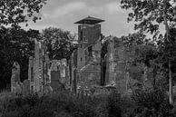 Ruine Schloss Bleijenbeek in Schwarz-Weiß von Ans Bastiaanssen Miniaturansicht