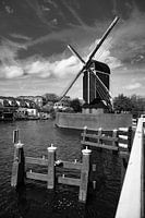 Molen de Put windmill in Leiden