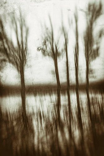 reflection into the water