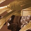 Sepia Chemistry van True Color Stories