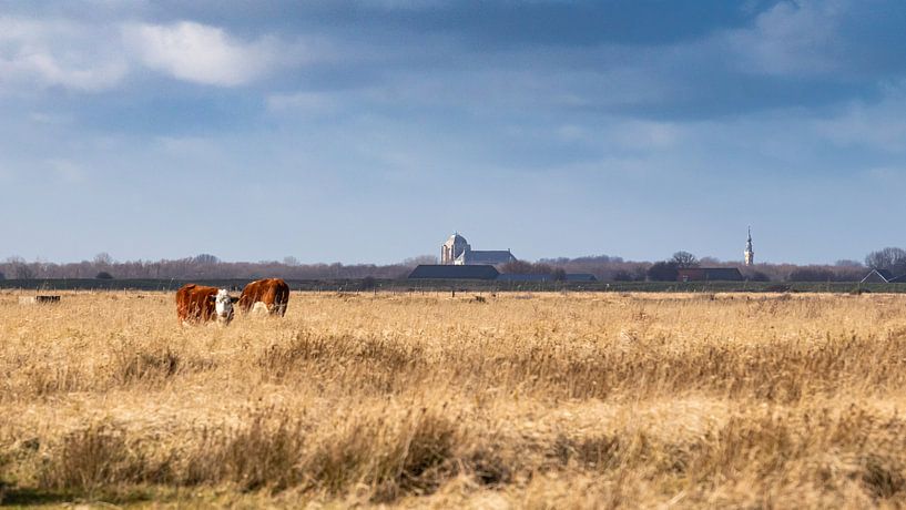 Veere (Zeeland) by Fotografie in Zeeland