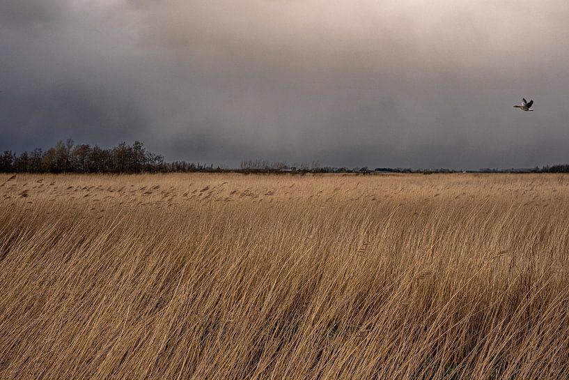 Winter by Mario Creanza