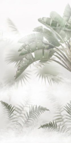 Tropical Delight in the Fog. 2 Bladeren.
