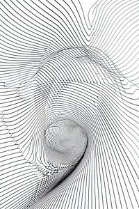 Modern Lines | Modern