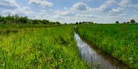 lucht reflectie op de sloot