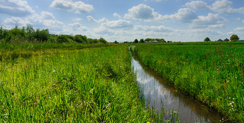 lucht reflectie op de sloot