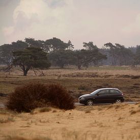 Car on the Veluwe by Capfield Photography