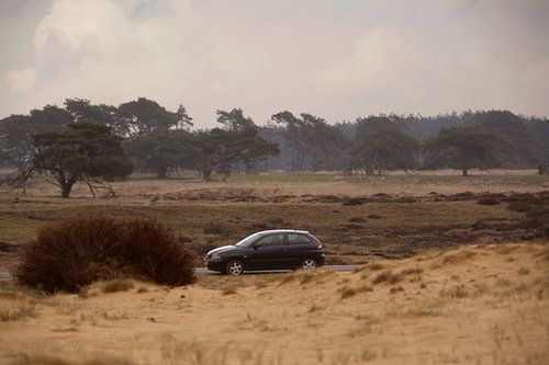 Voiture sur la Veluwe