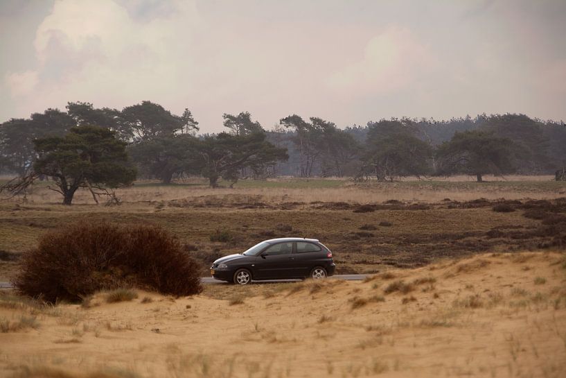 Auto auf der Veluwe von Capfield Photography