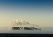 Landschap met mist, bomen en wolken. van Sky Pictures Fotografie thumbnail