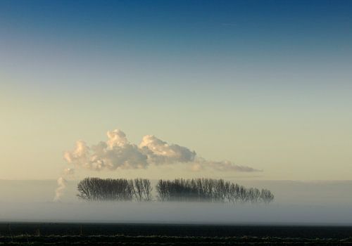 Landschap met mist, bomen en wolken.
