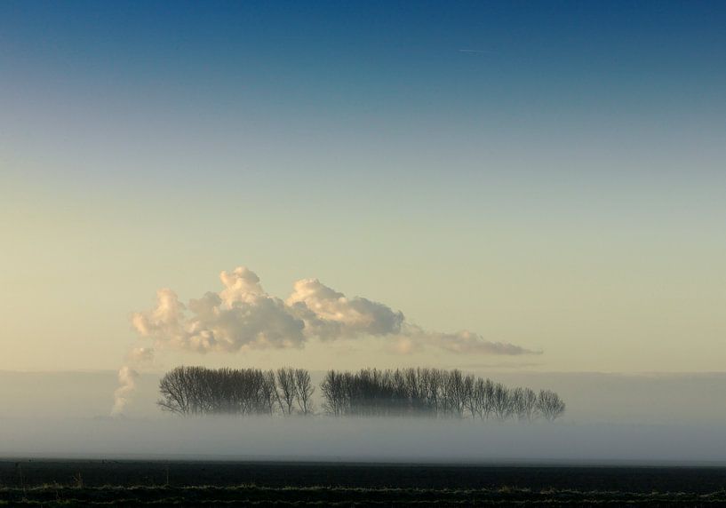 Landschap met mist, bomen en wolken. van Sky Pictures Fotografie