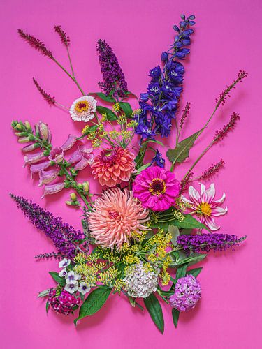 Bold Botanicals “Let the colors speak what words cannot.” van Bloom Gallery
