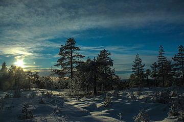 Winters Zweden van By Foto Joukje