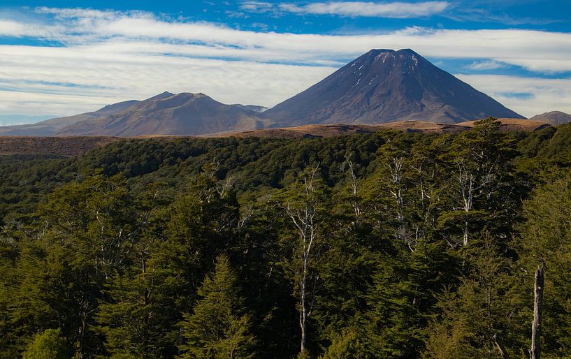 Tongariro-Nationalpark, Vulkan Ngauruhoe, Neuseeland von Nynke Altenburg