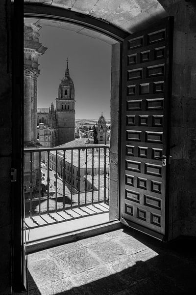 Blick auf Salamanca von Leticia Spruyt