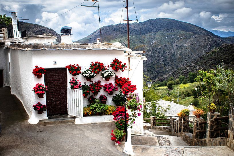 White house with flowers in Moorish Pampaneira by Jos van den Berg