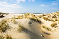 Duinen, Strand en Zee van Michel van Kooten thumbnail