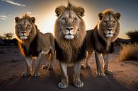 Drie leeuwen tijdens het gouden uurtje van Digitale Schilderijen thumbnail