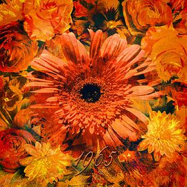 A gerbera and a little historical atmosphere of the 60's..1965.... by Helga Blanke