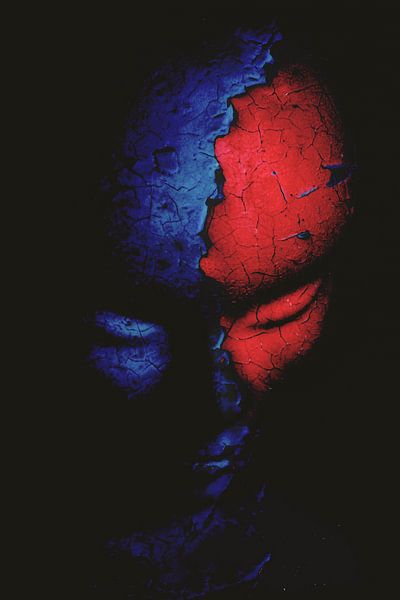 Pensées rouges et bleues par Daniëlle Thijssen