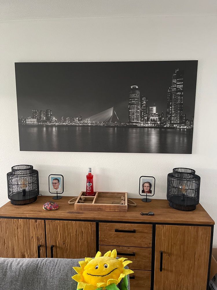 Rotterdam panorama  van Albert Mendelewski 