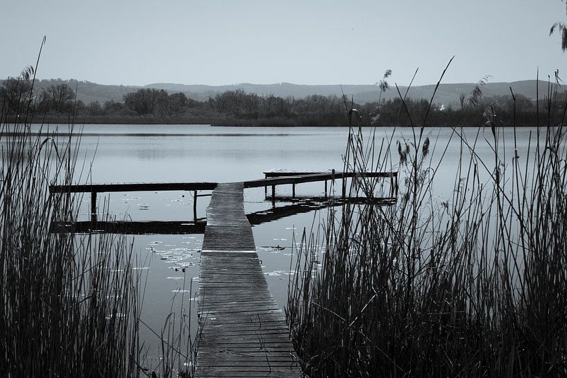 Steg am Breitunger See von Suzanne Schoepe