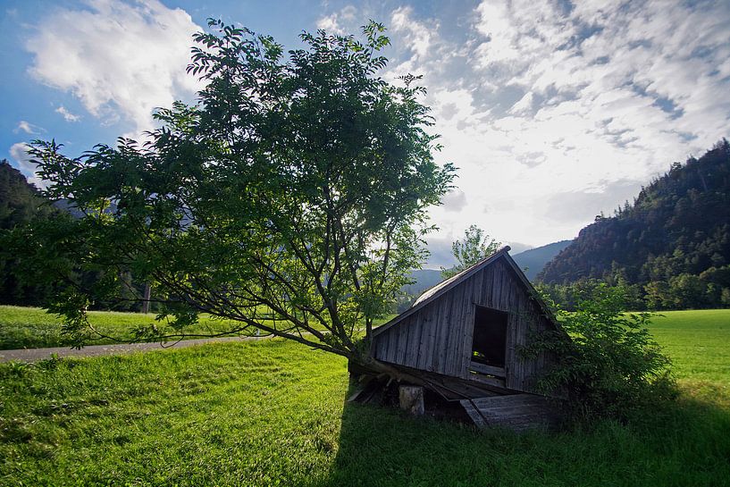 THE CROOKED BARN by Mieke van der Beek
