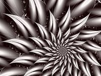 Jenny en noir et blanc