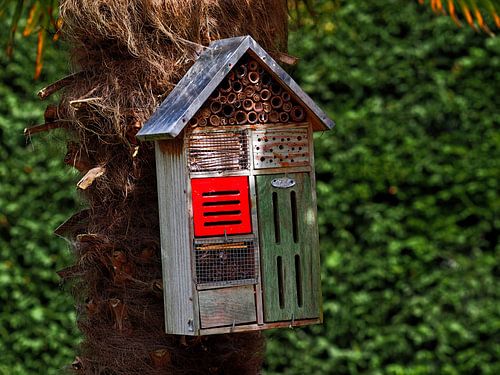 Insect hotel