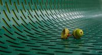 Eikel op groene bank