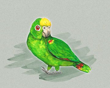 Geelvoorhoofdamazone papegaai. van Bianca Wisseloo