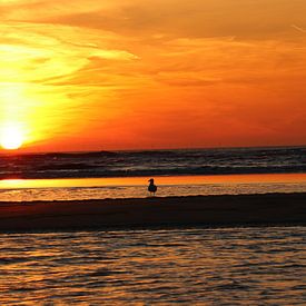 Zandvoort zonsondergang von Veli Aydin