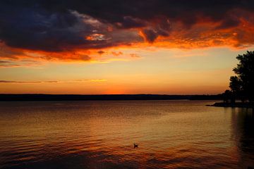 Ammersee van Thomas Jäger