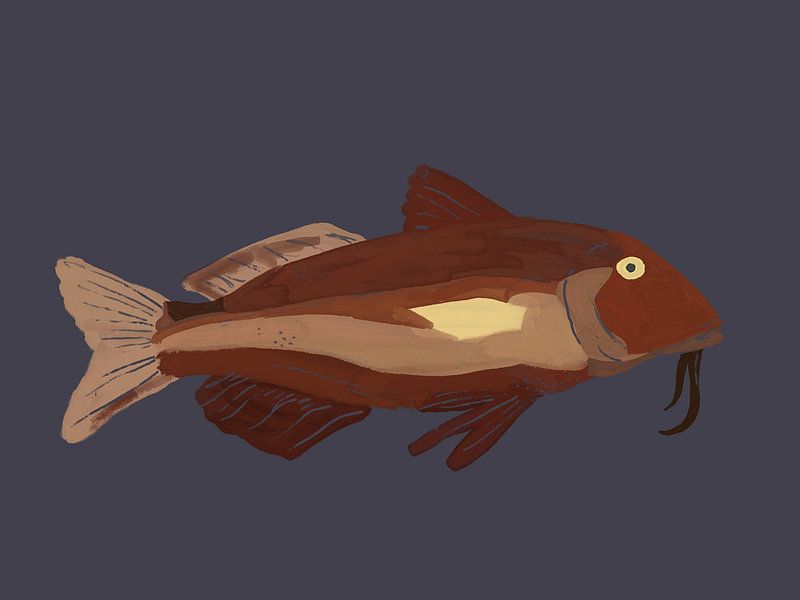 Carp in Night Blue by Studio Olivia