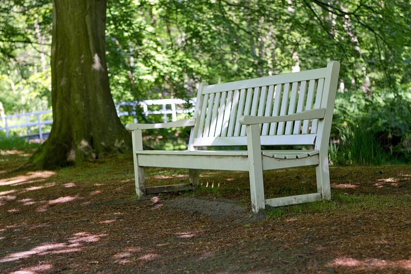 White bench in the park by rene marcel originals