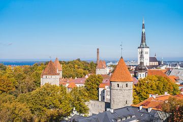 Blick auf Tallinn von Patrycja Polechonska