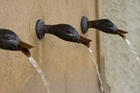 Duck fountain