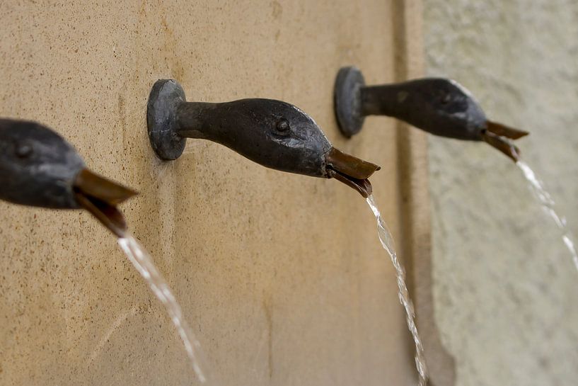 Duck fountain by Laura Weijzig