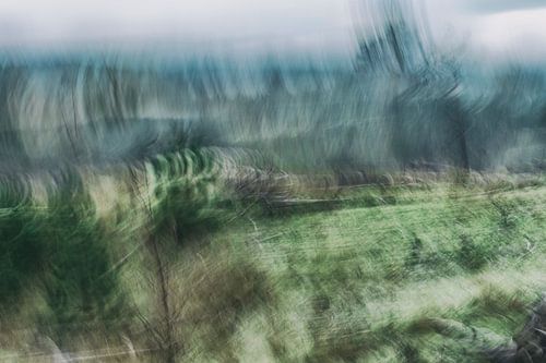 Moving Nature