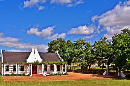 a Cape Dutch house in the Cape Winelands